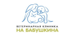 Информационное сопровождение и разработка фирменного стиля для Ветеринарной клиники «На Бабушкина»